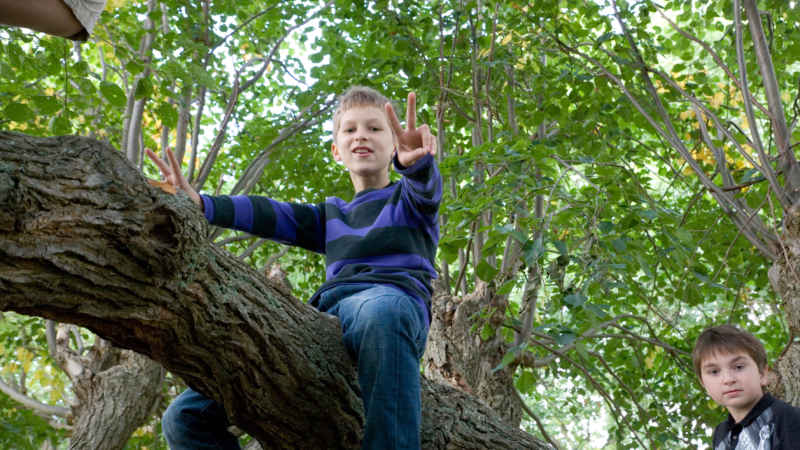 Kind sitz im Baum: Peace!