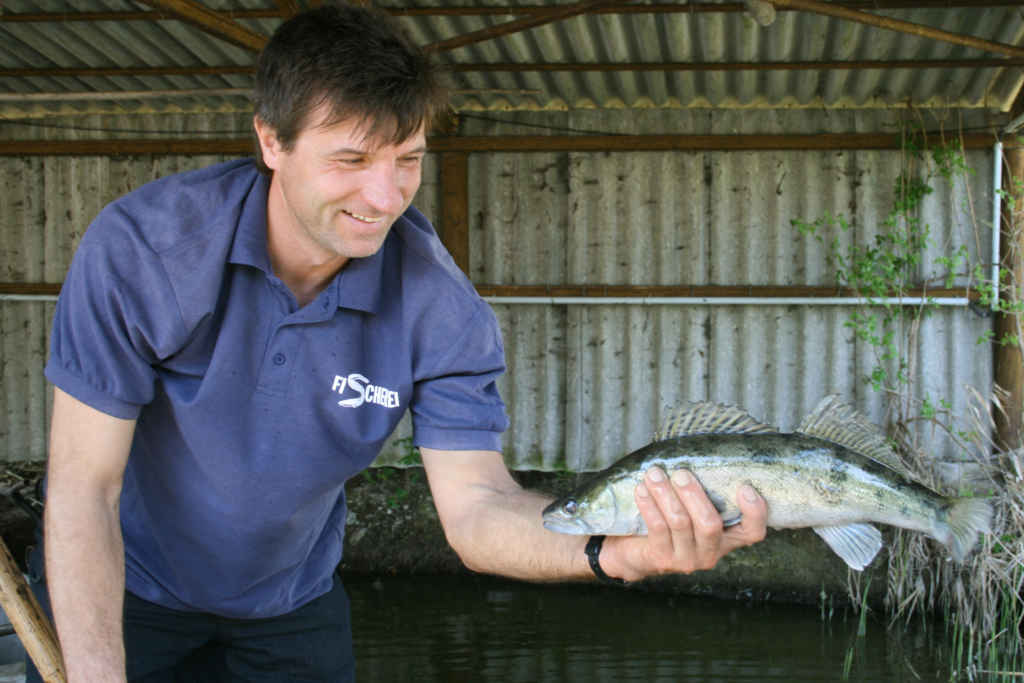 Fischerei Neumann am Galenbecker See