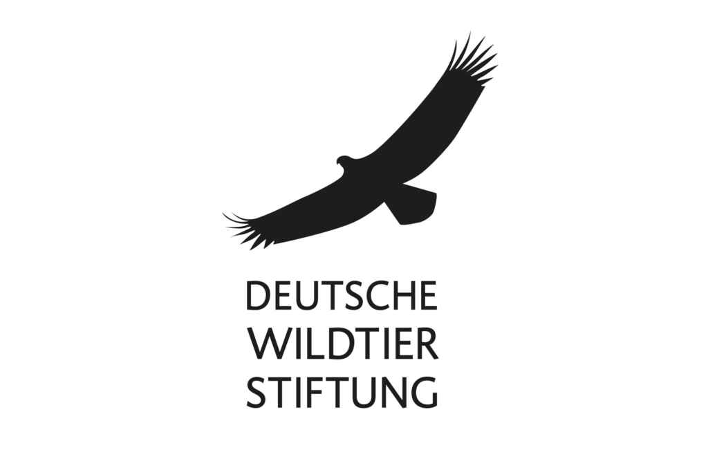 Logo der Deutschen Wildtier Stiftung