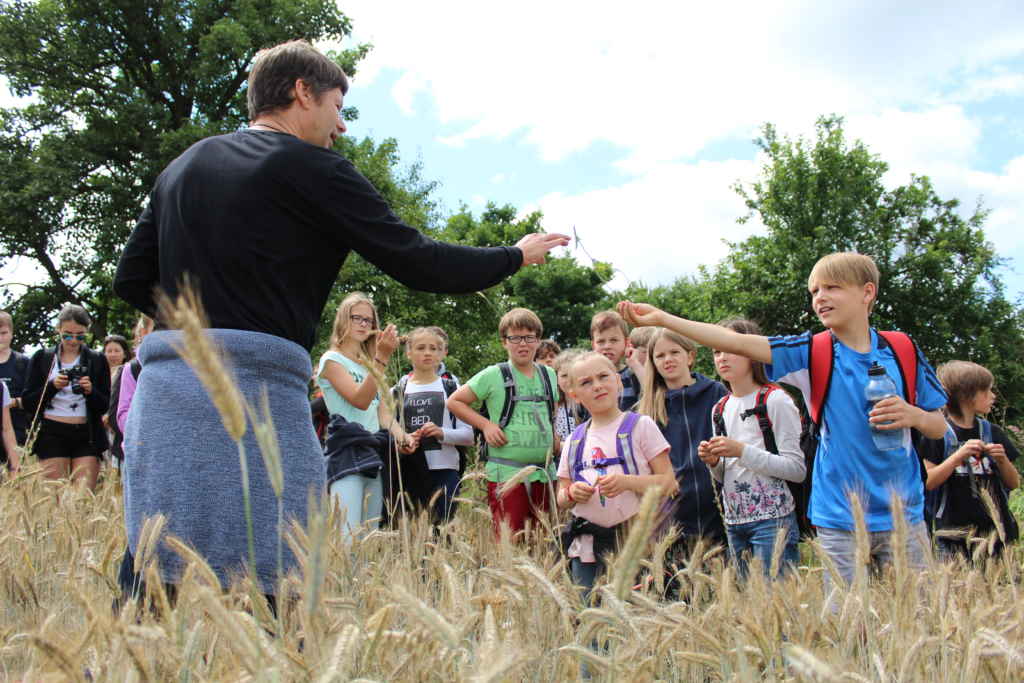 Kinder im Kornfeld