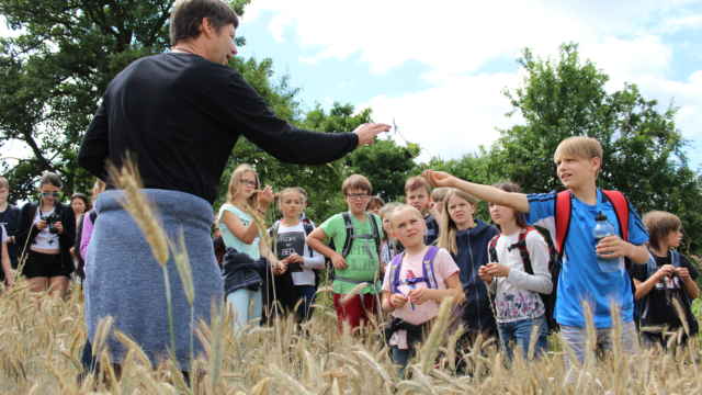 Kinder im Kornfeld